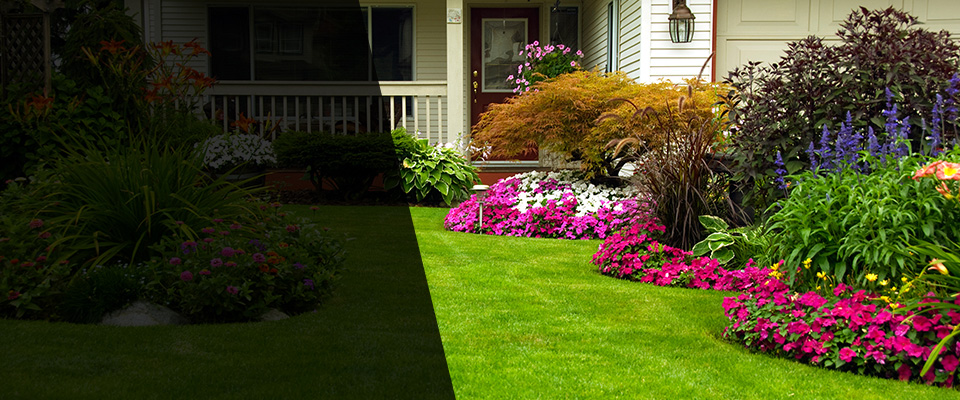 Los Molinos Landscapers