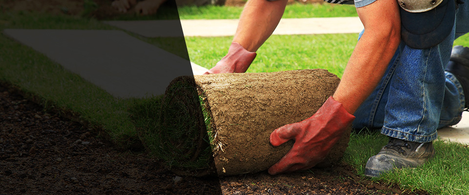 Los Molinos Landscapers
